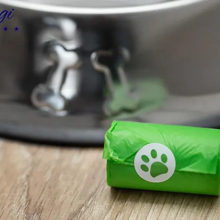 Margi Nell 슈체친